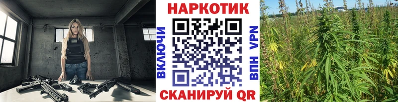 Продажа наркотиков Курчатов Alpha PVP  КОКАИН  МЕФ  ТГК  ГАШИШ  Галлюциногенные грибы 