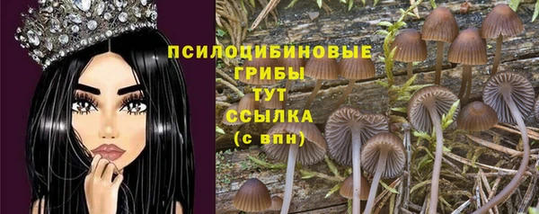 гашик Беломорск